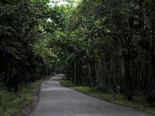 Dandeli Tourism : A Visual Treat