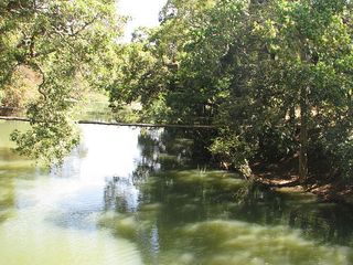 Kaveri Nisargadhama : Abode of Nature 