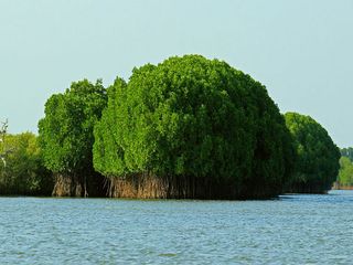 8 Quiet Places to Escape Diwali 