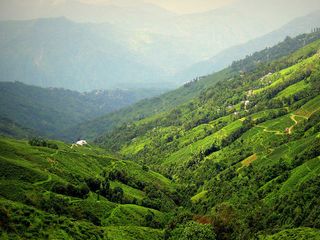  The Fascinating Views of Darjeeling