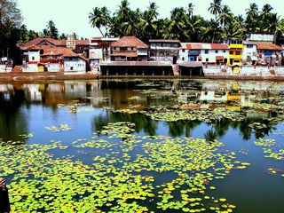 10 Budget Friendly Places in India