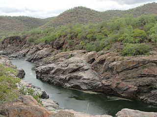 An Exciting One Day Trip From Bangalore to Muthathi