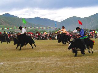 Adventure Tourism in India Calendar 2016