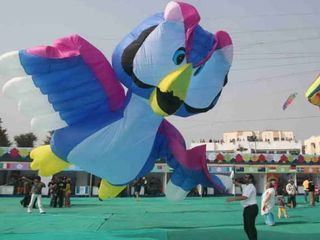 International Kite Festival in Ahmedabad 2016
