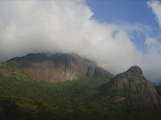 Agasthyakoodam Trekking: The Ultimate Adventure