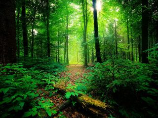 February Holiday Destinations in South India 