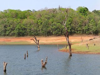 8 Places to Travel in South India this March