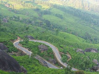 A Mystifying Road Trip From Chennai to Munnar