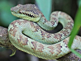 Top Places For Wildlife Tourism in Kerala