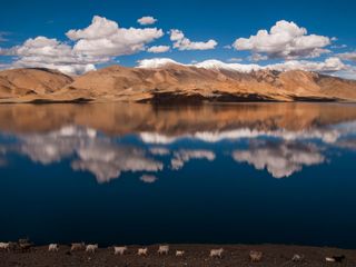 7 Secret Destinations in Ladakh That'll Amaze You!