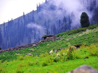 8 Tourist Places in North India to Cool Off this Summer