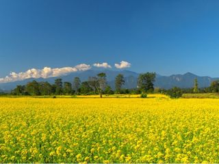 A Long and Unwinding Road Trip From Guwahati to Tawang 