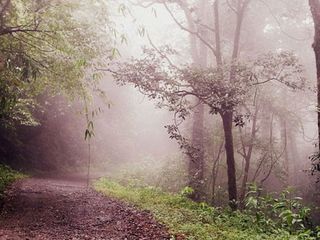 The Heavenly Beauty of Gavi in Kerala