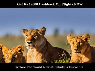 BOOK NOW, SAVE MORE! Get Rs.12000 Cashback On Flights and Upto 25% Off On Hotels