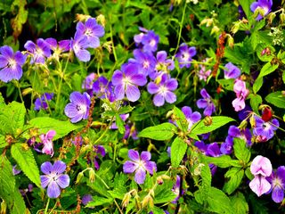 20 Incredibly Colourful Places in India That'll Blow Your Mind