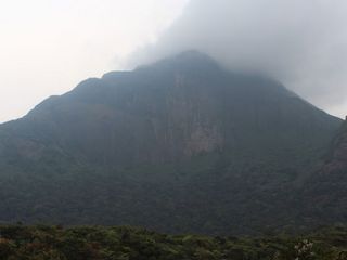 Agasthyamala: A Trek to the Paradise For a Total Rejuvenation