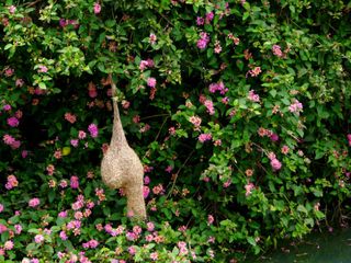 Cool Off at the Summer Destinations in Tamil Nadu