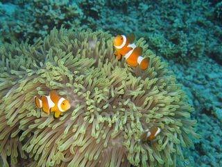 5 Awe-Inspiring Places to Celebrate Birthday in India