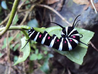 Lesser Known Wildlife Destinations in India