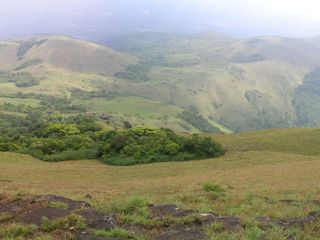 Things to Know About Tadiandamol Trek