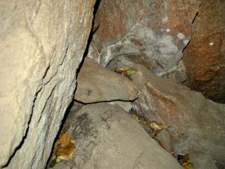 Siddarabetta – An amazing destination for trekkers