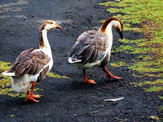 Travel in South India this May