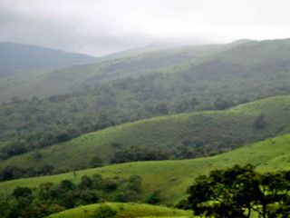 Top 5 must-do Things in Chikmagalur