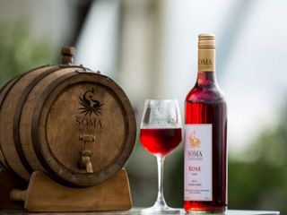 5 Famous Vineyards in Nashik