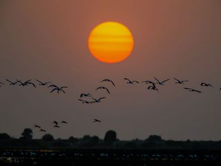 Soak in the White Desert: The Rann of Kutch in Gujarat
