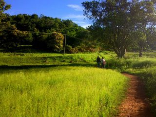 Amazing Hill Stations Near Bengaluru For a Quick Visit