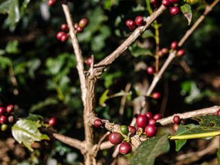 5 Places in Karnataka with Special Names