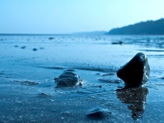 Engrossing Facts About Daman!