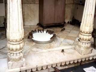 Alcohol, Noodles and Other Unique Prasad in Temples!