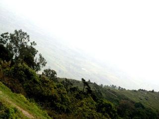 Amazing Hang-Outs To Propose To The Love Of Your Life