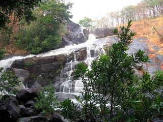 The Hidden Beauty: Picturesque Meenmutty Falls