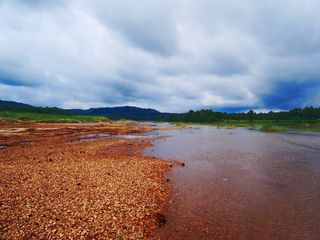 Monsoon Photography in Kerala 2020!