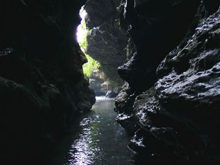 Robber's Cave in Dehradun