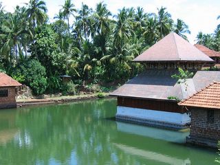 Vegetarian Crocodile in Ananthapura Temple?