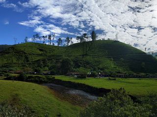 Mesmerising Munnar – A Photo Tour!
