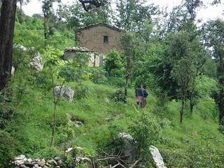 A Mysterious Offbeat Place: Dronagiri in Uttarakhand!