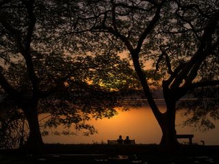 Crazy Places to Say 'I Love You'