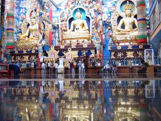 Roadtrip From Bangalore to Coorg - A Ride Through the Versatility of India's Scotland