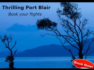 Love To Travel, But Hate Flight Ticket Prices! No Issues Here's The Answer