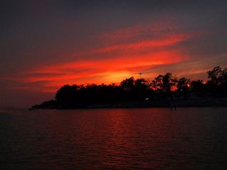 Travel to the Mysterious Hide and Seek Beach in Odisha!
