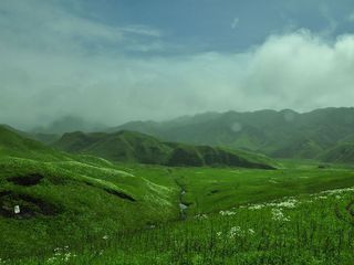 Astonishing Beauty of Dzukou Valley in Nagaland