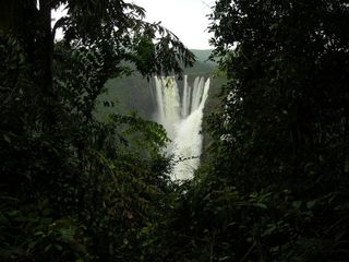 8 Spellbinding Facts About Jog Falls