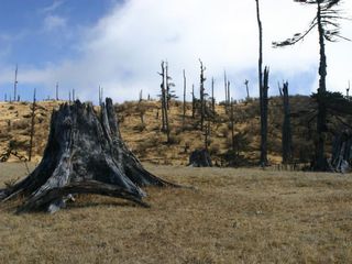  Singalila Ridge Trek 