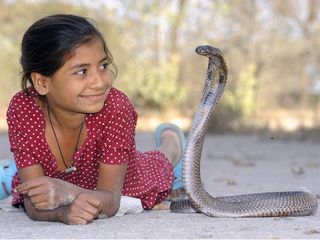 5 Best Snake Parks in India!
