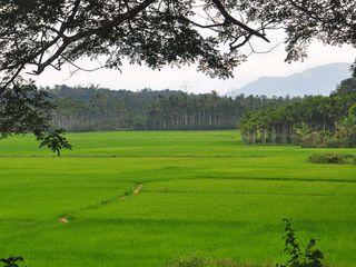 Best Tourist Places in Sultan Bathery 