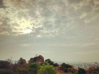 The soothing Turahalli forests; The last standing forest in Bangalore!